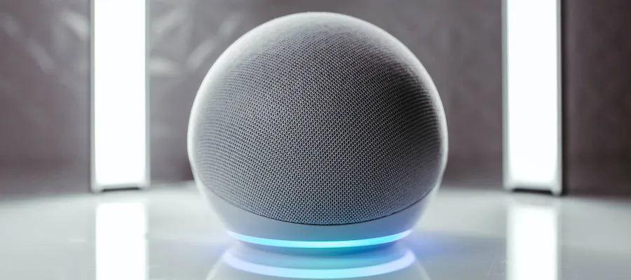 Amazon echo online spot review