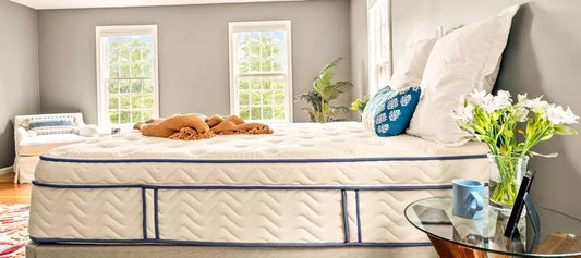 DLX Mattress Hybrid Bed